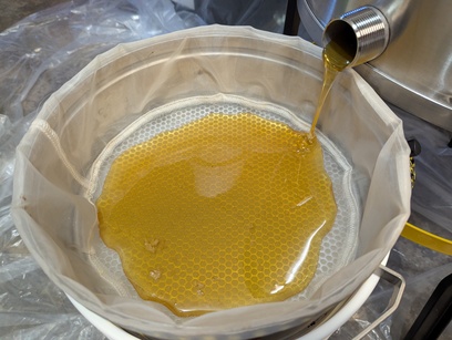 honey flowing from an extractor centrifuge into a bucket with a strainer